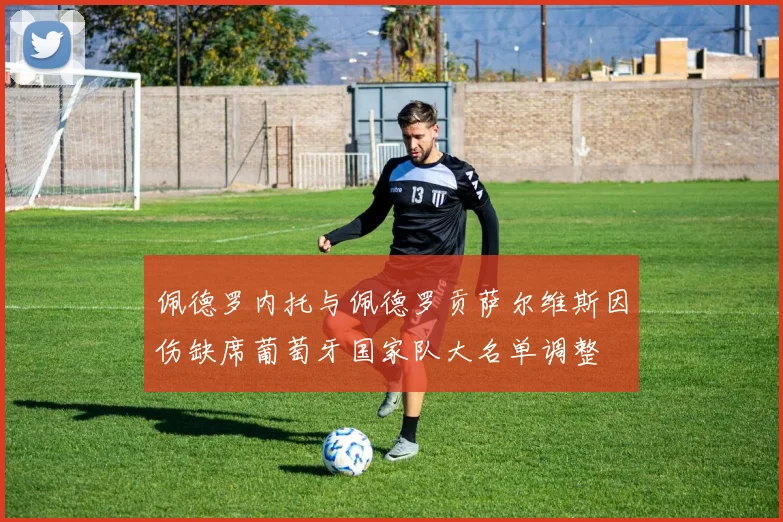 佩德罗内托与佩德罗贡萨尔维斯因伤缺席葡萄牙国家队大名单调整